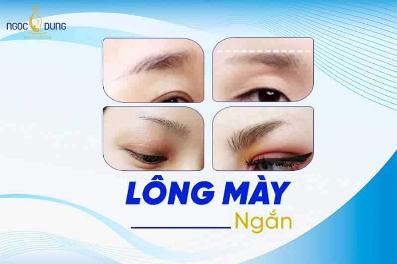 Tướng lông mày ngắn ở nam giới