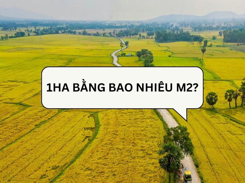 Hình dung mảnh đất 500 mét vuông