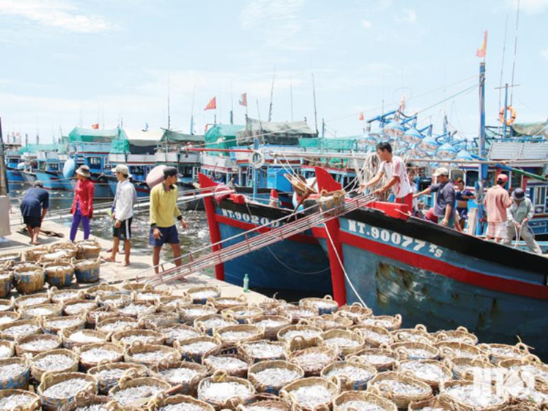 Câu chuyện ngày 8/7/2019