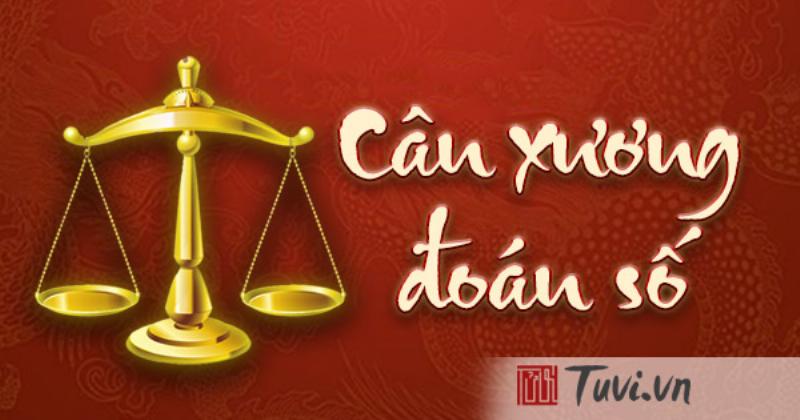 Áp Dụng Cân Lượng Chỉ Trong Tử Vi