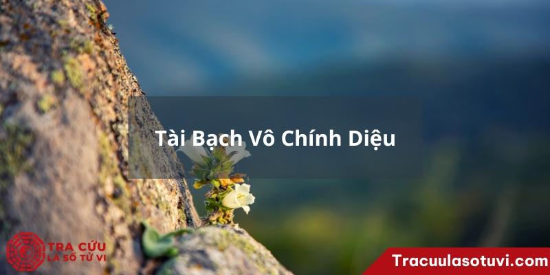 Bí mật cung tài bạch vô chính diệu