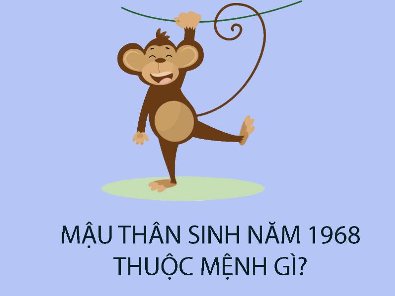 Mậu Thân 1968 nữ mạng: Sự nghiệp