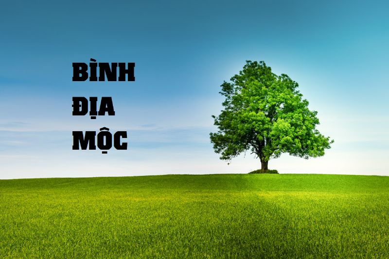 Mệnh Mộc Bình Địa Mộc