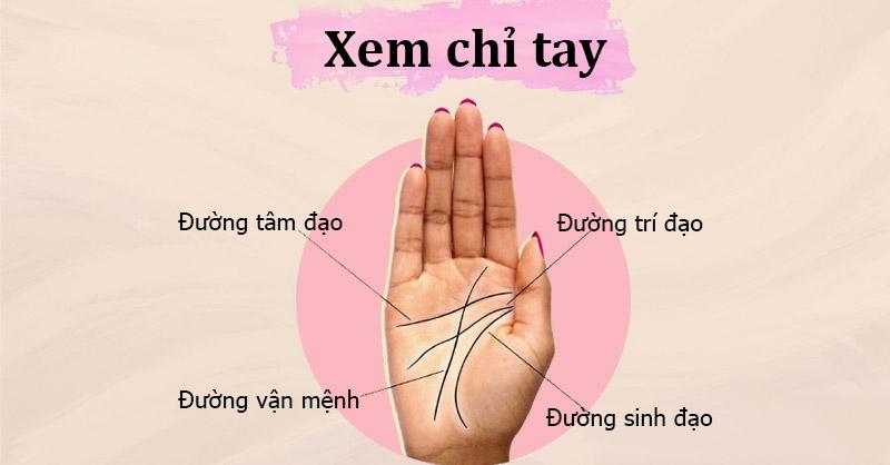 Nhận Diện Chỉ Tay Chữ M Ở Nữ