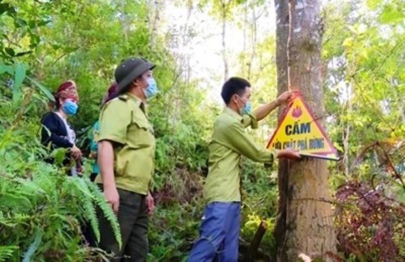 Cân bằng cuộc sống cho Phá Quân Hỏa Tinh