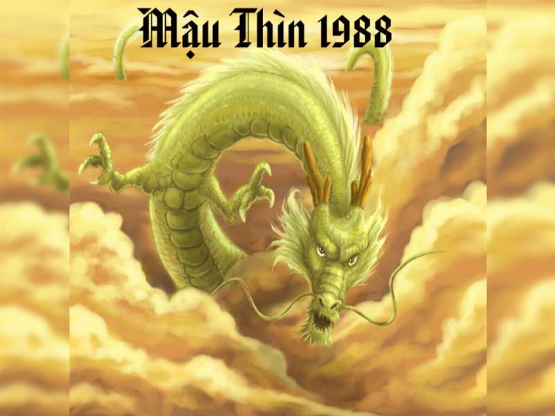 Phong thủy cho tuổi Thìn 1988