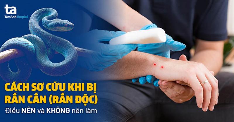 Rắn lục cắn vào tay thể hiện sự ghen tị