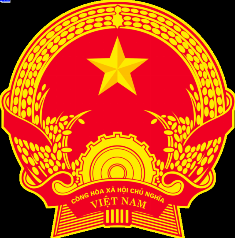 Sự nghiệp năm 2019