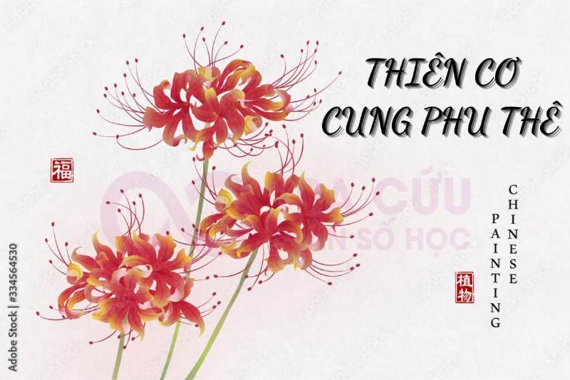 Thiên Cơ ở Cung Phu Thê: Đặc điểm