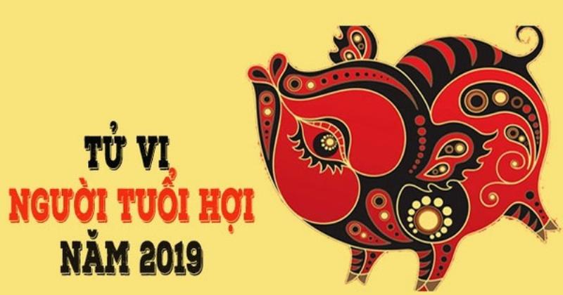 Tử vi chi tiết các năm tuổi Hợi 2019