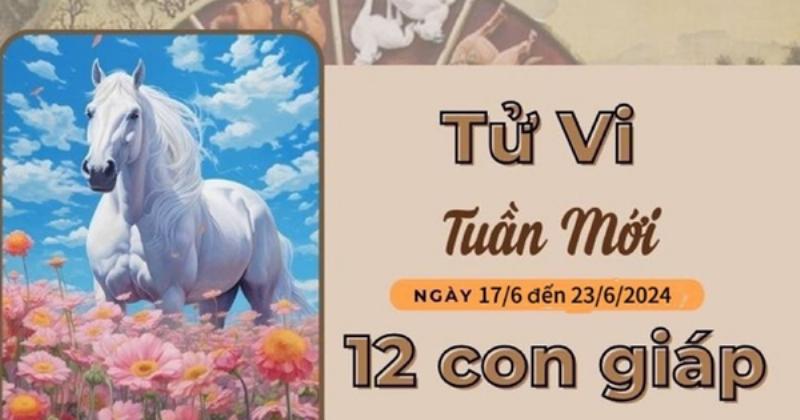 Tử vi tuần mới tuổi Tý