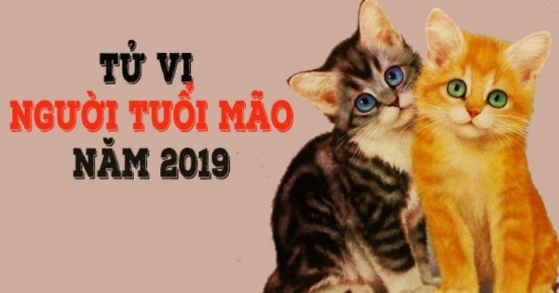 Tử vi tuổi Dần và Mão năm 2019