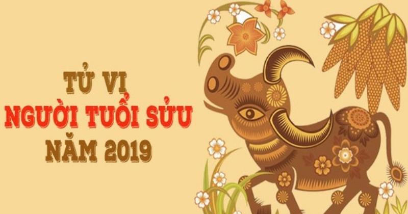 Tử vi tuổi Tý và Sửu năm 2019