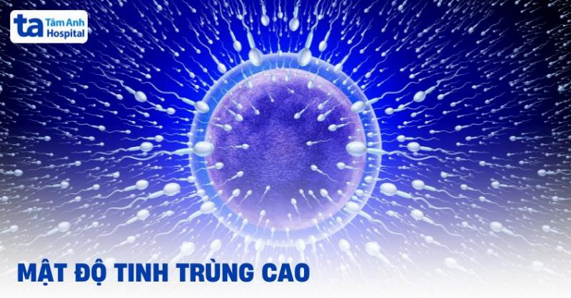 Các Yếu Tố Ảnh Hưởng đến Trùng Tang