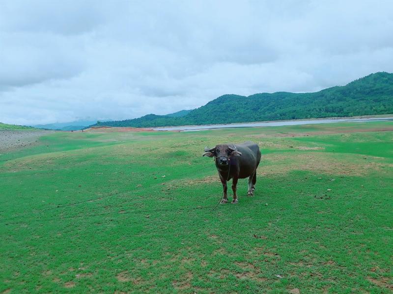 Cắm trại dã ngoại ngày 13/2/2022