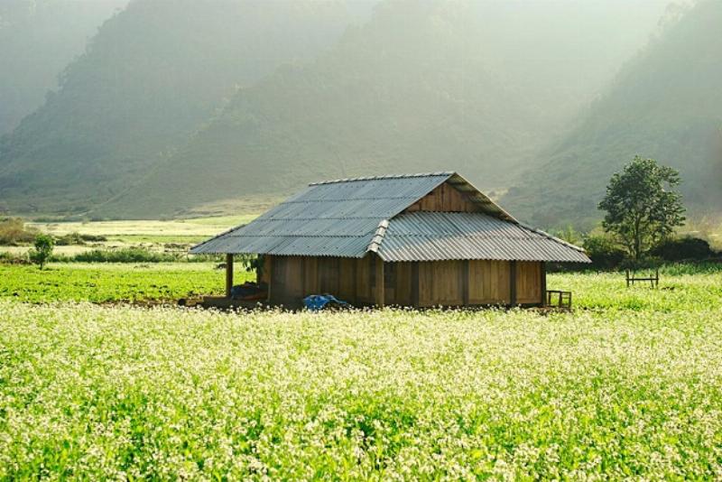 Địa Điểm Du Lịch Tháng 11