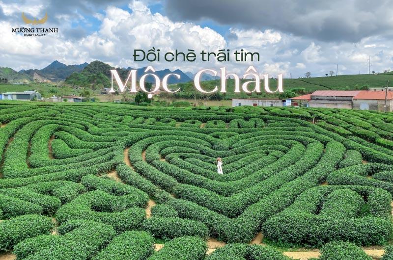 Đồi chè trái tim Mộc Châu - điểm check-in lý tưởng
