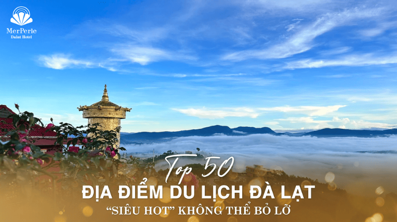 Hoàng hôn tuyệt đẹp trên đồi chè Cầu Đất Đà Lạt với sắc cam rực rỡ nhuộm cả bầu trời và những luống chè xanh mướt bên dưới