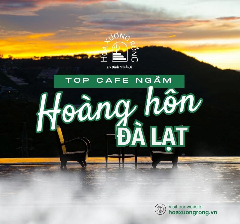 Một quán cà phê có view đẹp để ngắm hoàng hôn Đà Lạt, với không gian thoáng đãng nhìn ra thành phố hoặc đồi núi khi mặt trời lặn